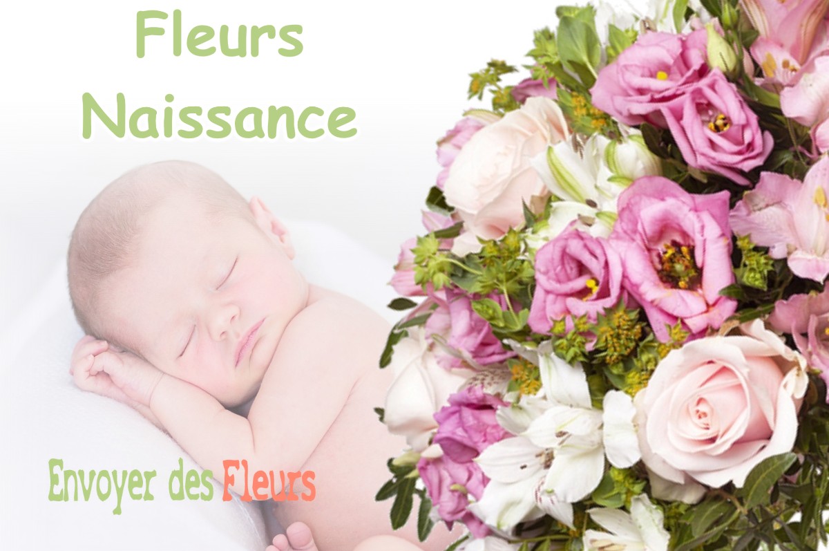 lIVRAISON FLEURS NAISSANCE à EUGENIE-LES-BAINS